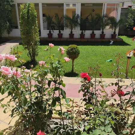 Sunny House 3*