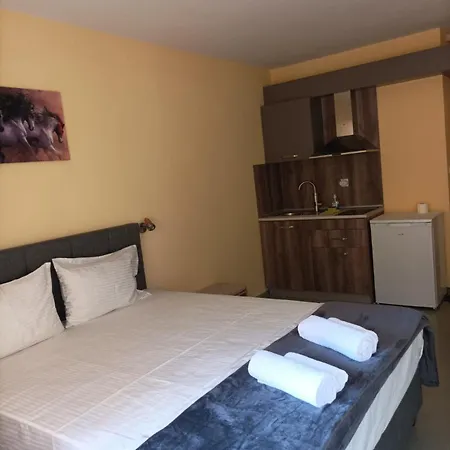 Sunny House Pensiune 3*